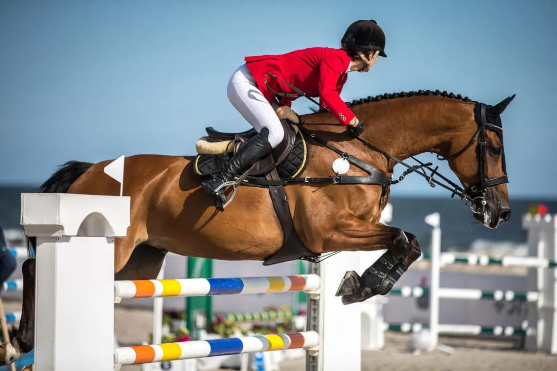  Spectralrunes : Your Ultimate Equestrian Knowledge Hub