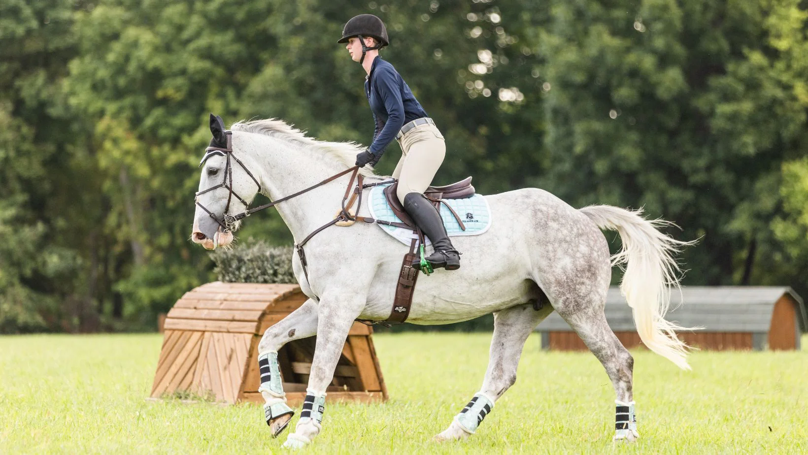  Spectralrunes : Your Ultimate Equestrian Knowledge Hub